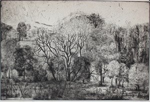 Image description is not available for DU1967.88